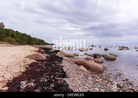 Meerblick mit blauem Himmel, verschiedenen Felsen und grünen Bäumen Stockfoto