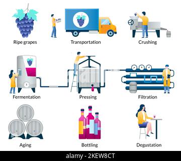 Prozessstufen für die Weinherstellung eingestellt, Vektorgrafik isoliert auf weißem Hintergrund. Herstellung von alkoholischem Getränk aus Trauben. Wein Schritt für Schritt. Stock Vektor