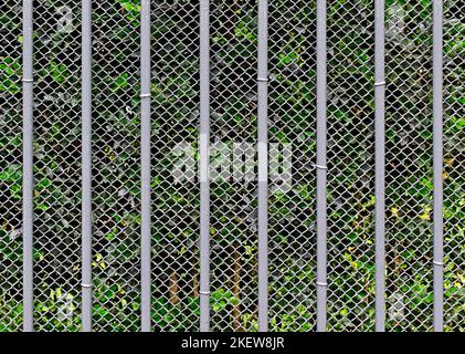 Eisenstangen und Drahtgeflecht im Garten Stockfoto