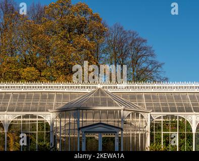 Außenansicht des restaurierten viktorianischen Wintergartens in Wentworth Castle Gardens, Barnsley, South Yorkshire. VEREINIGTES KÖNIGREICH Stockfoto