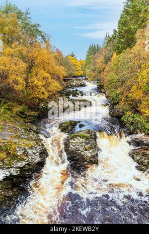 Der Black Water River (der Glen Shee als Shee Water entwässert) im Herbst nördlich der Bridge of Cally, Perth & Kinross, Schottland, Großbritannien Stockfoto