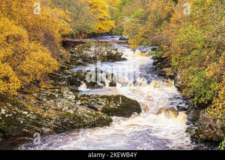 Der Black Water River (der Glen Shee als Shee Water entwässert) im Herbst nördlich der Bridge of Cally, Perth & Kinross, Schottland, Großbritannien Stockfoto