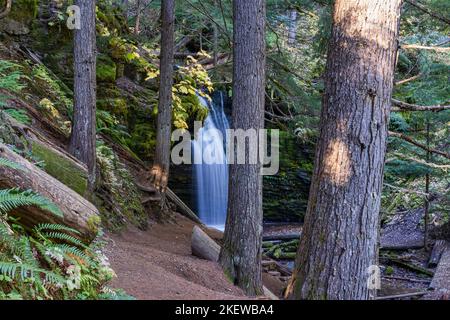 Zwei der schönsten Wasserfälle von Idaho sind nur eine kurze Wanderung voneinander entfernt, nach einem Nagelbiss, leicht zu verirren, mehrere Meilen einen Berg hinauf. Stockfoto