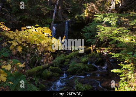 Zwei der schönsten Wasserfälle von Idaho sind nur eine kurze Wanderung voneinander entfernt, nach einem Nagelbiss, leicht zu verirren, mehrere Meilen einen Berg hinauf. Stockfoto