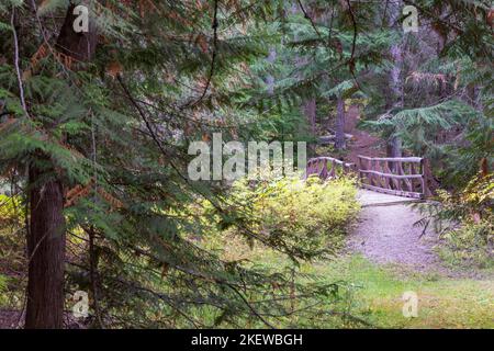 Zwei der schönsten Wasserfälle von Idaho sind nur eine kurze Wanderung voneinander entfernt, nach einem Nagelbiss, leicht zu verirren, mehrere Meilen einen Berg hinauf. Stockfoto