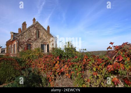 Herbstansicht eines Hauses auf dem Hügel von Sancerre, einer Stadt in der Weinregion in der Nähe der Loire in Frankreich. Stockfoto