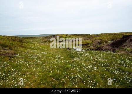 Teil eines abgestürzten Flugzeugs an einem Flugzeugwrack in Riggs Moor, Yorkshire Dales National Park. (Wahrscheinlich RAF Vickers Wellington Bomber Mk.IC DV718) Stockfoto