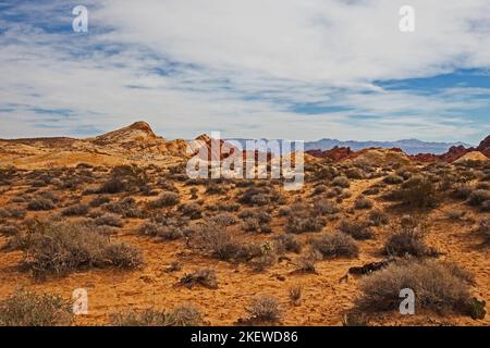 Panoramablick über den Valley of Fire State Park in Nevada, USA Stockfoto