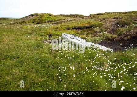 Teil eines abgestürzten Flugzeugs an einem Flugzeugwrack in Riggs Moor, Yorkshire Dales National Park. (Wahrscheinlich RAF Vickers Wellington Bomber Mk.IC DV718) Stockfoto