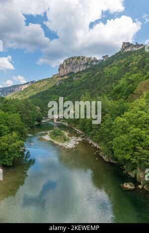 Gorges du Tarn im Nationalpark Cevennes. Le Rozier, Massiv zentral, Frankreich. Stockfoto