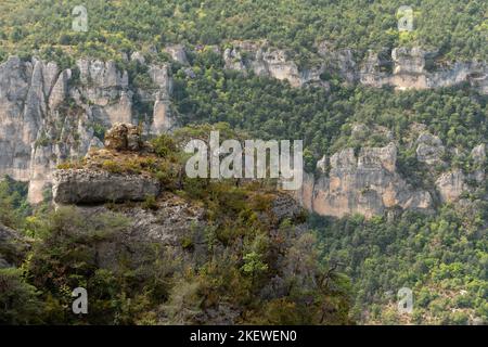 Gorges du Tarn im Nationalpark Cevennes. Le Rozier, Massiv zentral, Frankreich. Stockfoto