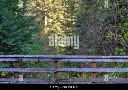 Der Pulaski Tunnel Trail in der Nähe von Wallace, Idaho, führt den Wanderer zu einem verlassenen Minenschacht, wo Dutzende von Männern bei einem wütenden Waldbrand im Jahr 1910 gerettet wurden. Stockfoto