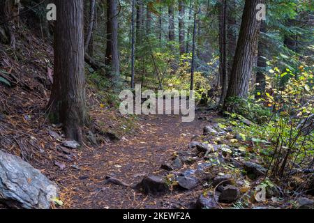 Der Pulaski Tunnel Trail in der Nähe von Wallace, Idaho, führt den Wanderer zu einem verlassenen Minenschacht, wo Dutzende von Männern bei einem wütenden Waldbrand im Jahr 1910 gerettet wurden. Stockfoto