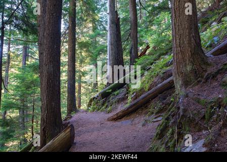 Der Pulaski Tunnel Trail in der Nähe von Wallace, Idaho, führt den Wanderer zu einem verlassenen Minenschacht, wo Dutzende von Männern bei einem wütenden Waldbrand im Jahr 1910 gerettet wurden. Stockfoto