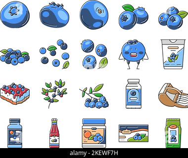 Blaubeere Biberry Blaubeere Symbole Set Vektor Stock Vektor