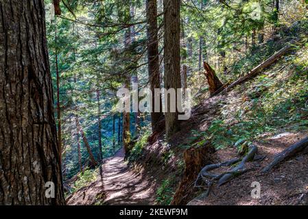 Der Pulaski Tunnel Trail in der Nähe von Wallace, Idaho, führt den Wanderer zu einem verlassenen Minenschacht, wo Dutzende von Männern bei einem wütenden Waldbrand im Jahr 1910 gerettet wurden. Stockfoto