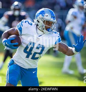 Chicago, IL, USA. 13.. November 2022. Detroit Lions #42 Justin Jackson in Aktion während eines Spiels gegen die Chicago Bears in Chicago, IL. Mike Wulf/CSM/Alamy Live News Stockfoto