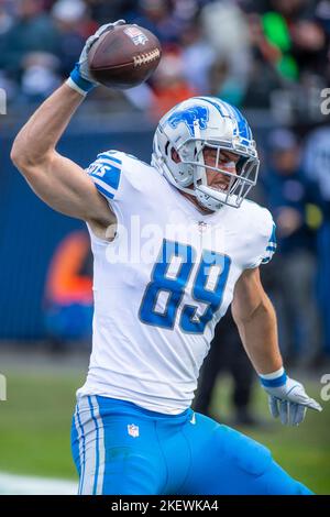 Chicago, IL, USA. 13.. November 2022. Detroit Lions #89 Brock Wright feiert seinen Touchdown während eines Spiels gegen die Chicago Bears in Chicago, IL. Mike Wulf/CSM/Alamy Live News Stockfoto