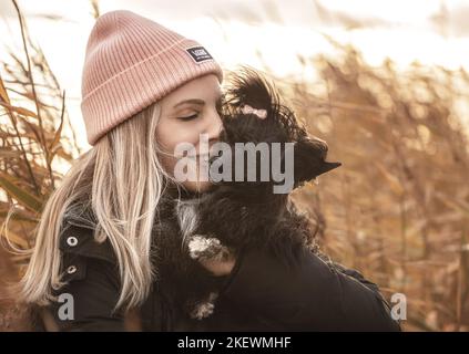 Schwarzer Puderpuff mit chinesischer Hautschwarze Stockfoto