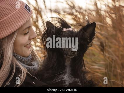 Schwarzer Puderpuff mit chinesischer Hautschwarze Stockfoto