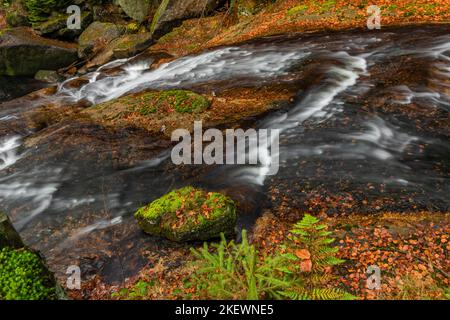 Cerna Desna Bach in Jizerske Berge im Herbst Farbe frischen Morgen Stockfoto