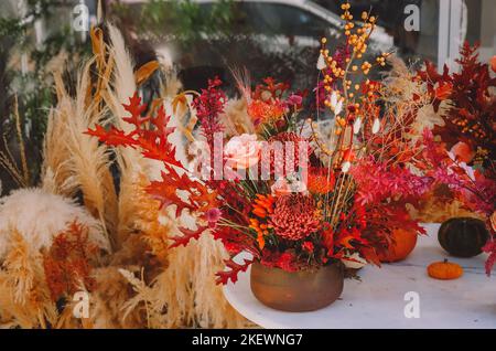 Dunkelpflaumenviolette Chrysanthemen und rosafarbene Rosenblumen als Hintergrund. Stockfoto