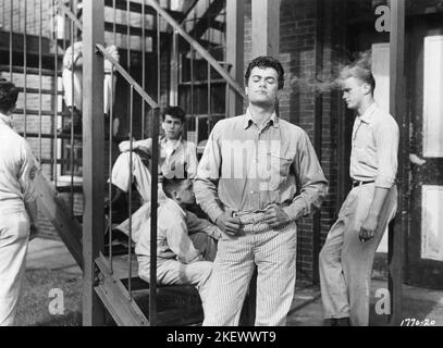 TONY CURTIS in SECHS BRÜCKEN ÜBER 1955 Regisseur JOSEPH PEVNEY Produzent Aaron Rosenberg Kameramann William H. Daniels Universal International Picters (UI) Stockfoto