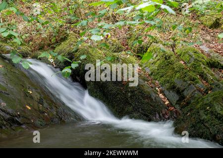 Langzeitbelichtung eines Wasserfalls auf dem Horner Wasserfluss, der durch Horner Wälder in Somerset fließt Stockfoto