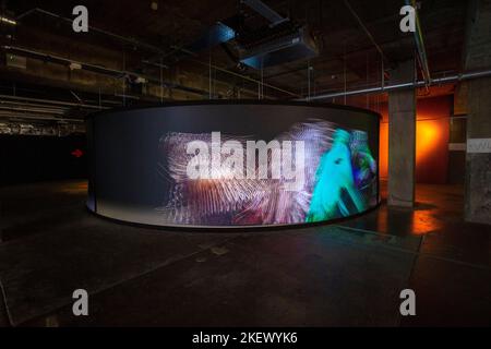 Infinity ist eine endlose Parade von farbenfrohen, abstrakten und haarigen Charakteren und Teil der Ausstellung Lifeforms in den 180 Studios, London. Stockfoto