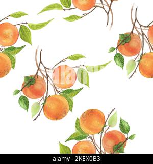 Aquarell-botanische Illustrationen. Nahtloses Muster mit Kaki-Zweig. Aquarell von Hand gezeichnet. Weihnachtsfrüchte Stockfoto