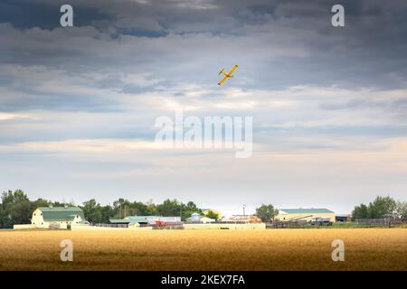 Ein Feldstauber, der über einem rustikalen Gehöft fliegt, nachdem er eine Ernte auf die kanadischen Prärien in Rocky View County Alberta Canada gesprüht hat. Stockfoto