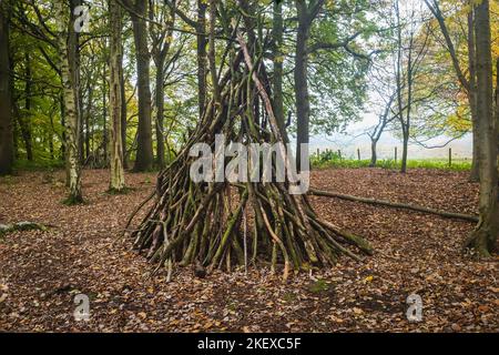 Delamere Forest ist ein großer Wald im Dorf Delamere in der englischen Stadt Ceshire. Der Wald, der von Forestry England verwaltet wird, umfasst ein Gebiet von Stockfoto