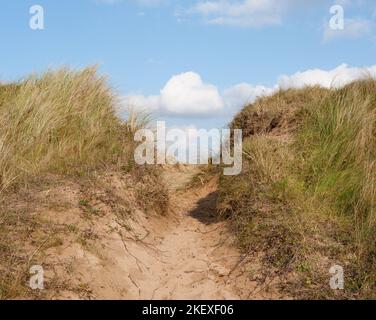 Sandweg durch Sanddünen am Strand in der Nähe von Swansea. Gras wächst auf Sanddünen. Blauer Himmel mit weißen, flauschigen Wolken. Stockfoto