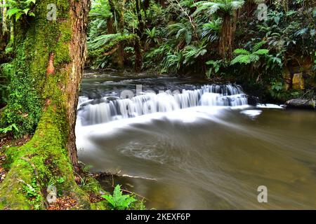 Kleiner Wasserfall, die Catlins, Südinsel, Neuseeland Stockfoto