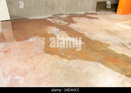 Wasserschaden im Untergeschoss durch Rückfluss der Kanalisation aufgrund eines verstopften Abflusses der Sanitärversorgung Stockfoto