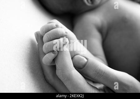 Das neugeborene Baby hat nach der Geburt einen festen Griff am Finger der Eltern. Stockfoto