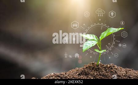 Weltumwelttag, Junge Pflanze wächst auf fruchtbarem Boden, Umwelttechnologiekonzept. Nachhaltige Entwicklungsziele. SDGs. Stockfoto