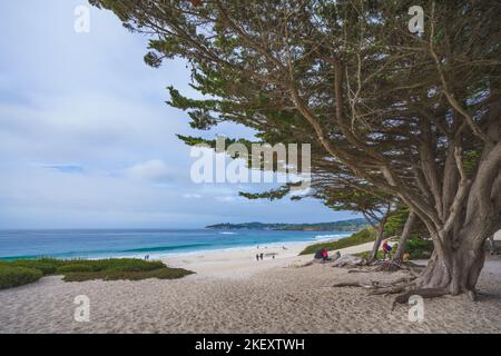 Monterey County, Kalifornien, USA - 31. Oktober 2022. Carmel Beach, ein langer, breiter, weißer Sandstrand. Carmel Beach ist einer der bekanntesten Orte auf Ca Stockfoto