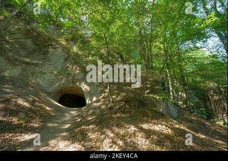 Ein geheimnisvoller Höhleneingang in einem üppigen grünen Wald in der Nähe des Brohltals, Deutschland. Stockfoto