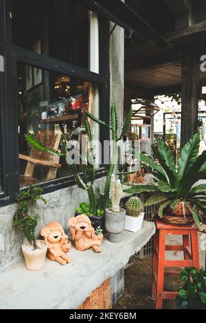Home Dekoration mit einer Vielzahl von Sukkulenten in Blumentopf. Stockfoto