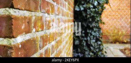 Die Dinge im Gebäude zu halten und die Dinge draußen zu halten. Eine Backsteinmauer. Stockfoto