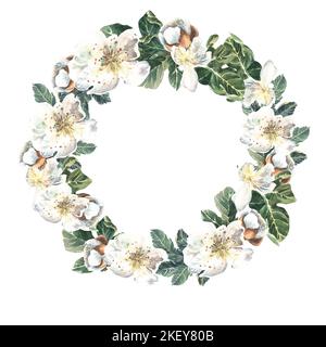 Runde Anordnung der Feigenblüten. Blüte. Aquarelldarstellung auf weißem Hintergrund Stockfoto