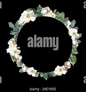 Runde Anordnung der Feigenblüten. Blüte. Aquarelldarstellung auf schwarzem Hintergrund. Stockfoto