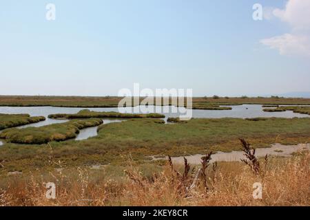 Delta Evros Nationalpark, Evros Thraki Griechenland Stockfoto