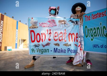 Charm El Scheich, Ägypten. 15.. November 2022. Ein Demonstrator hält ein Plakat mit der Aufschrift dont eat me - be vegan - Make Peace vor dem Eingang zum Klimagipfel COP27. Quelle: Christophe Gateau/dpa/Alamy Live News Stockfoto