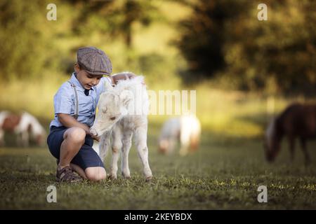 Junge und Fohlen Stockfoto