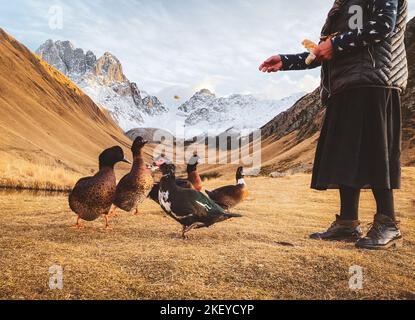 Frau füttern Enten von der fünften Saison berühmten Gästehaus Hotel auf Juta Tal Wanderroute im Kazbegi Nationalpark im Herbst.Georgien Reiseziel und c Stockfoto