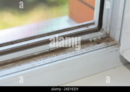 Ein Blick aus dem Inneren des Hauses auf ein staubigen Fenster. Ein schmutziger uPVC-Fensterrahmen, der gereinigt werden muss. Stockfoto