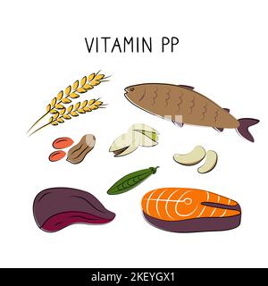 Vitamin B3 Niacinamid Vitamin PP Niacin Nicotinamid. Gruppen von gesunden Lebensmitteln, die Vitamine enthalten. Set von Obst, Gemüse, Fleisch, Fisch und Stock Vektor