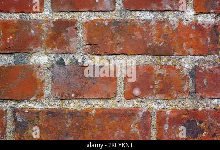 Die Dinge im Gebäude zu halten und die Dinge draußen zu halten. Eine Backsteinmauer. Stockfoto